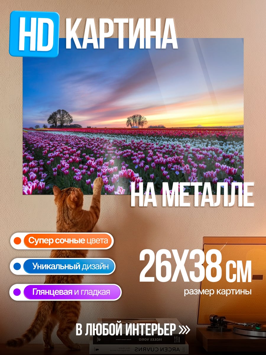 Картина на металле Поле тюльпанов закат