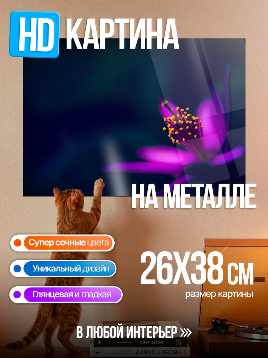 Картина на металле Фиолеточный цветок ночью
