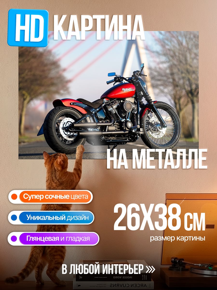 Картина на металле Красный мотоцикл