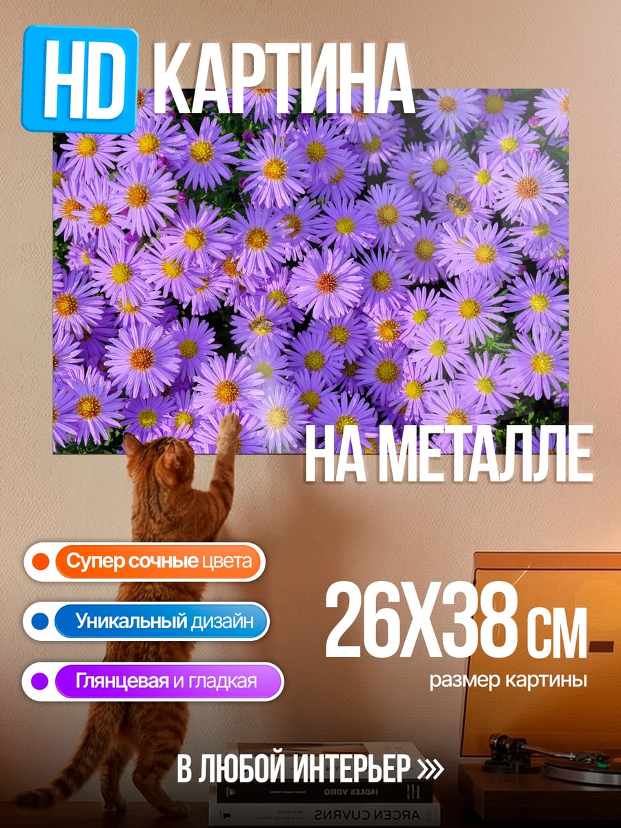 Картина на металле Фиолетовые астры