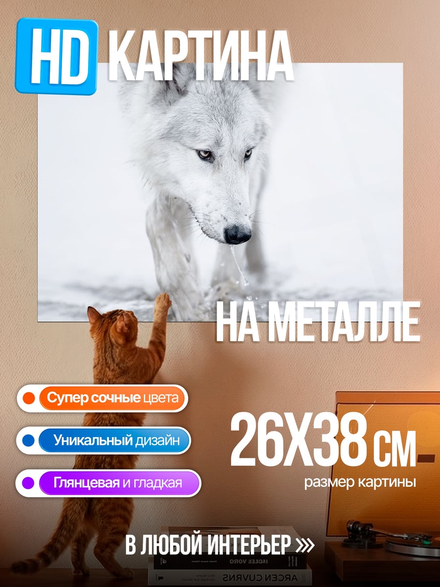 Картина на металле Белый волк в снегу
