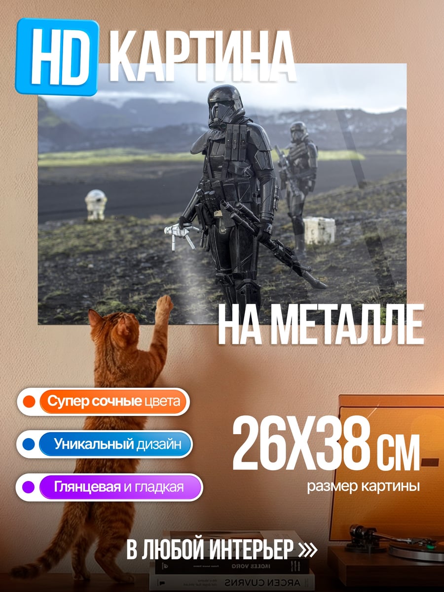 Картина на металле Штурмовик Империи