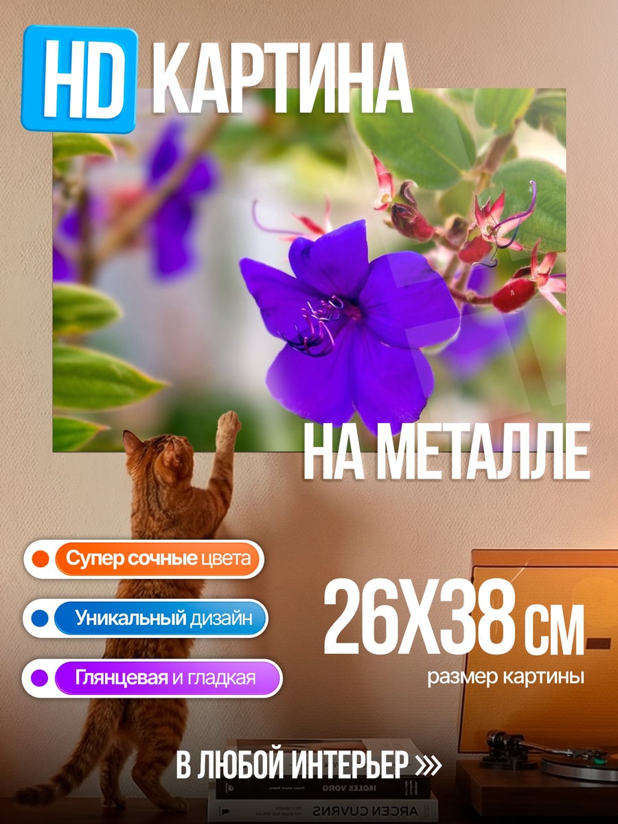 Картина на металле Фиолетовые цветы