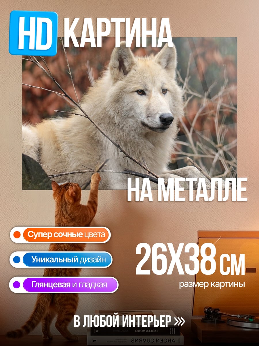 Картина на металле Белый волк в лесу