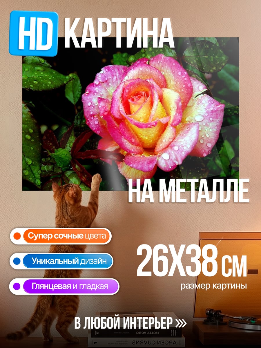 Картина на металле Роза в каплях