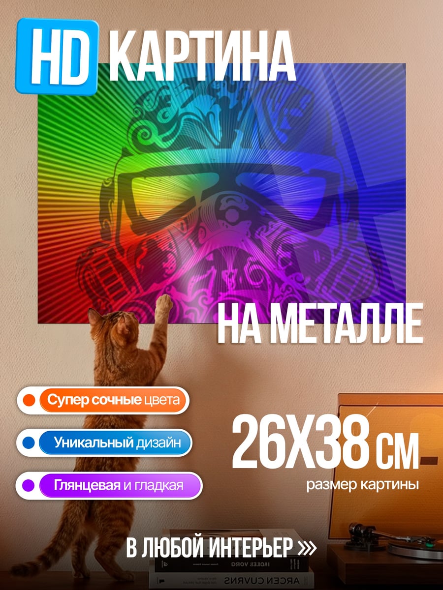 Картина на металле Радужный шлем
