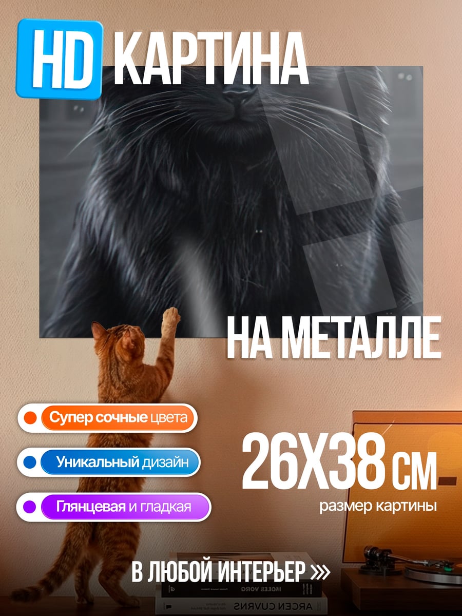 Картина на металле Черный кот