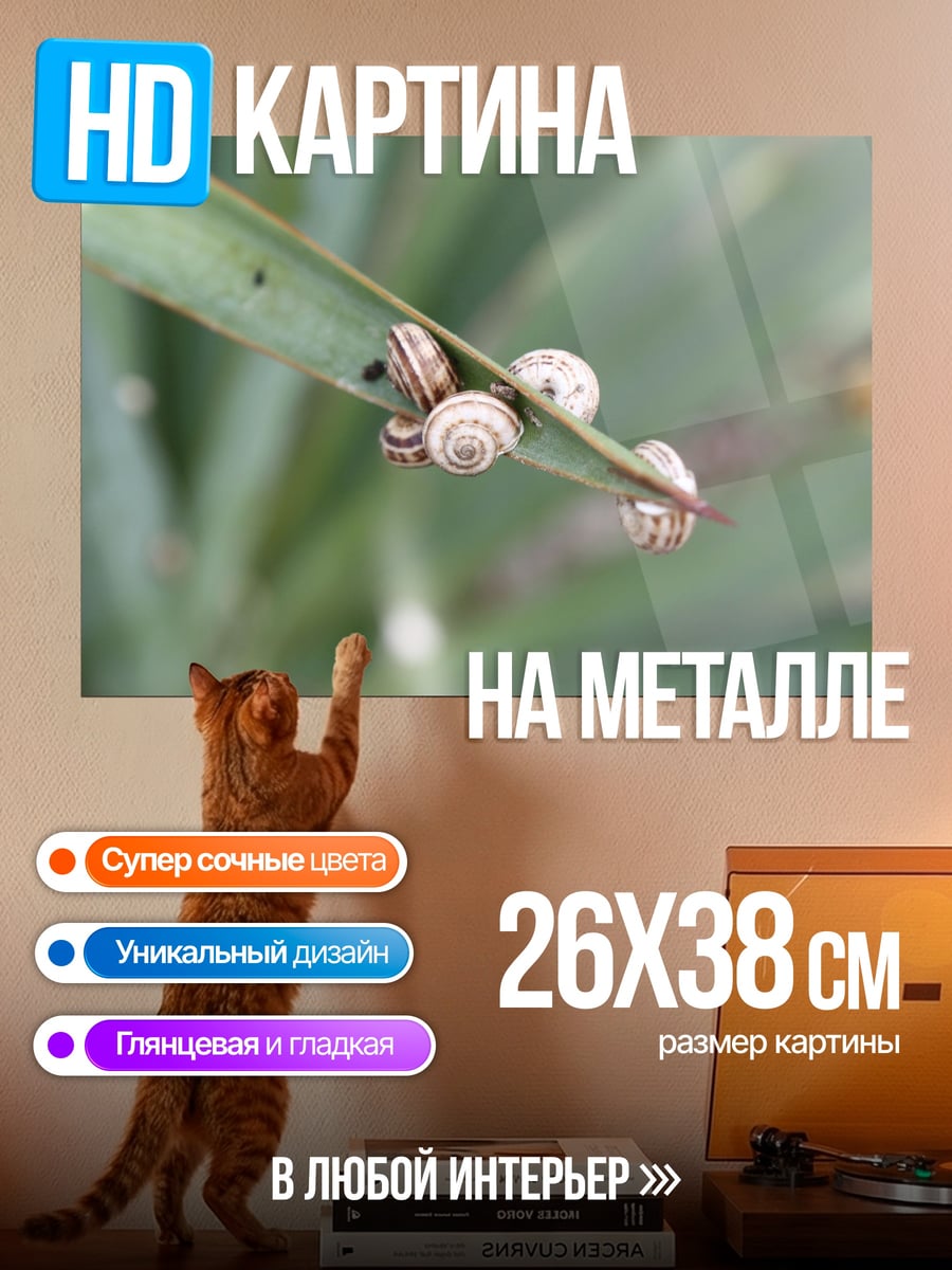 Картина на металле улитки на листе