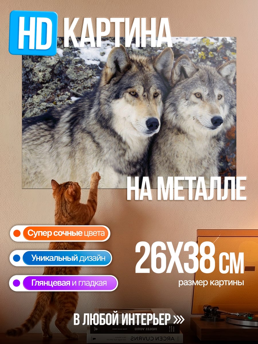 Картина на металле пара волков