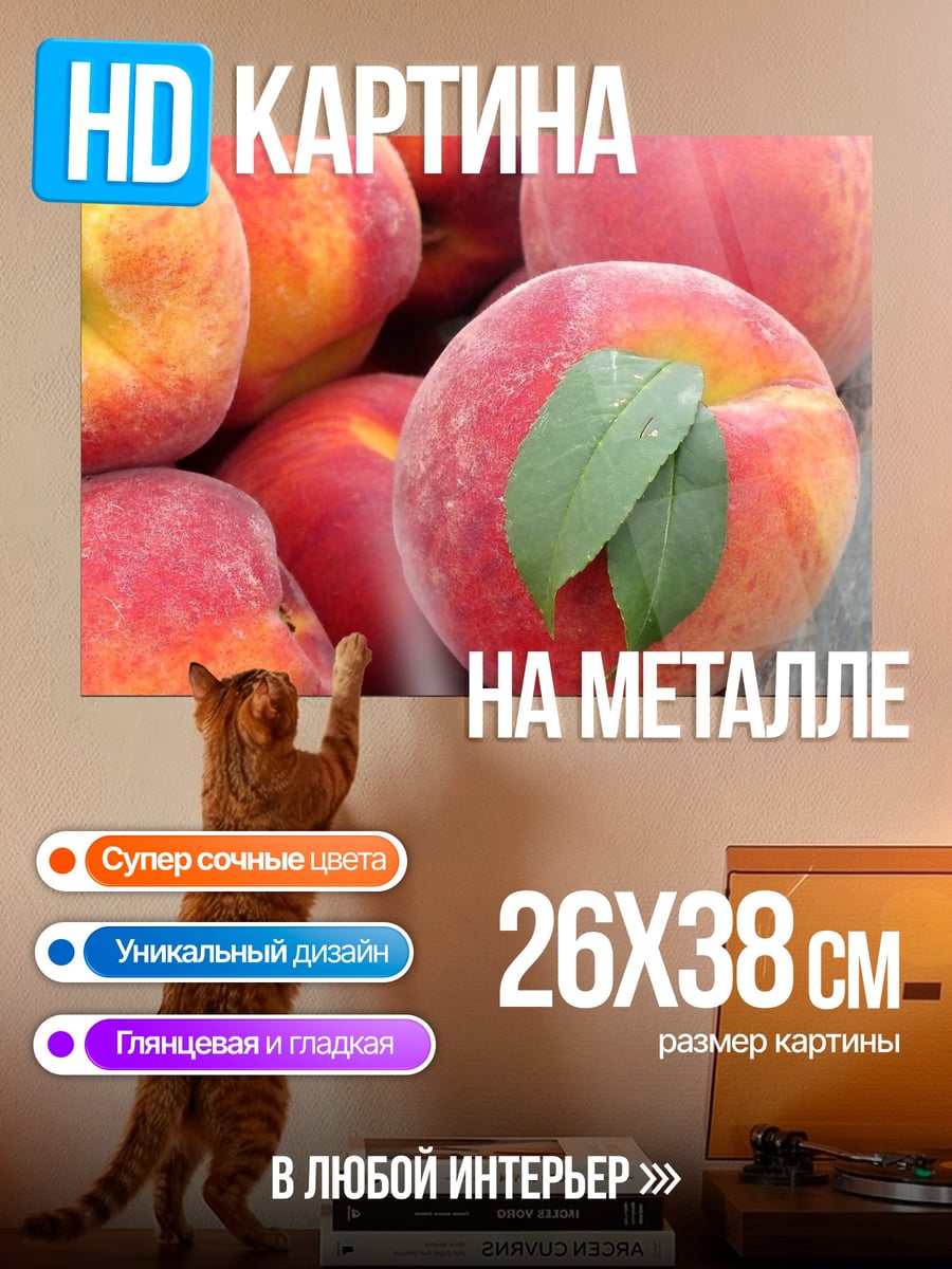 Картина на металле спелые персики