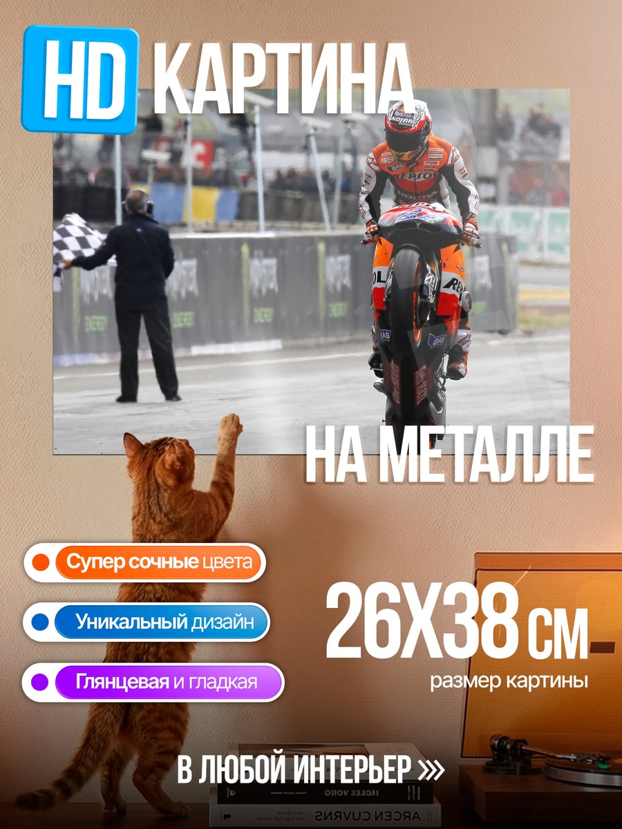Картина на металле Победа на гонке