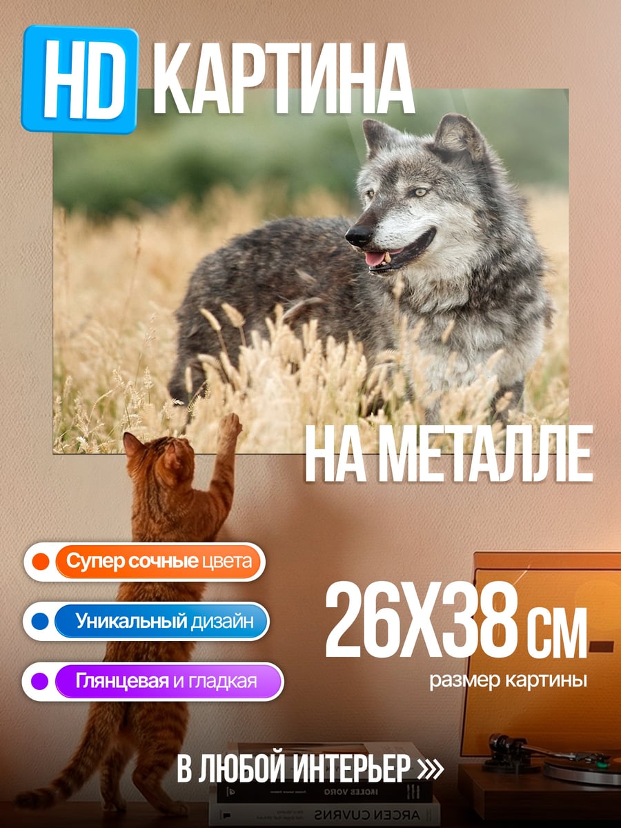 Картина на металле серый волк в поле