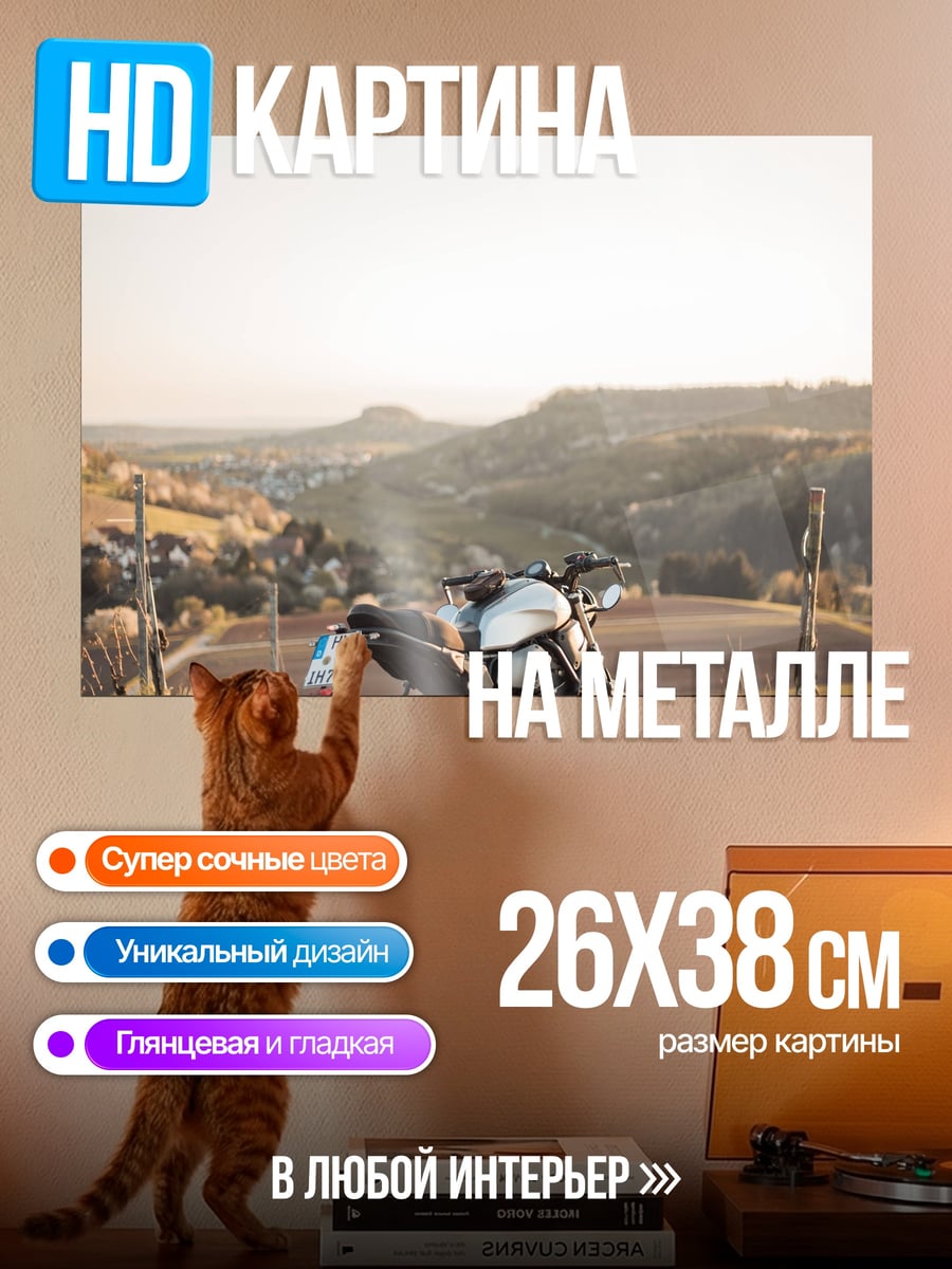 Картина на металле Мотоцикл на дороге