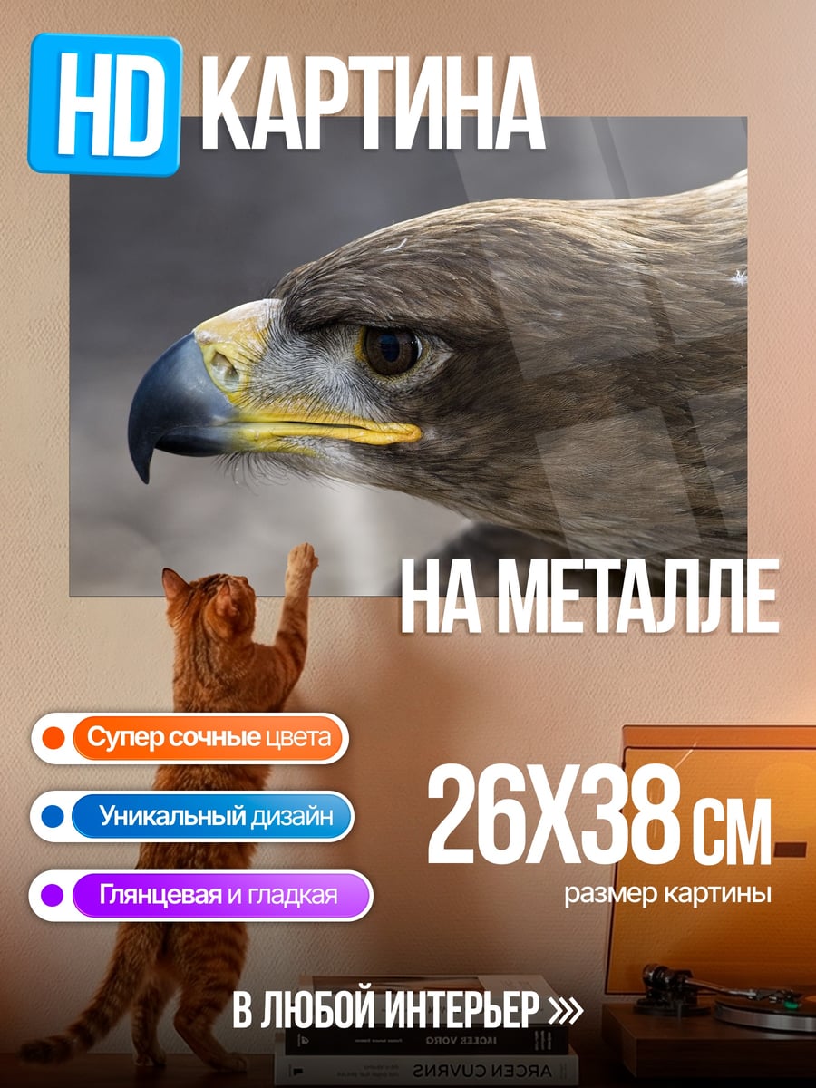 Картина на металле Орел в профиль