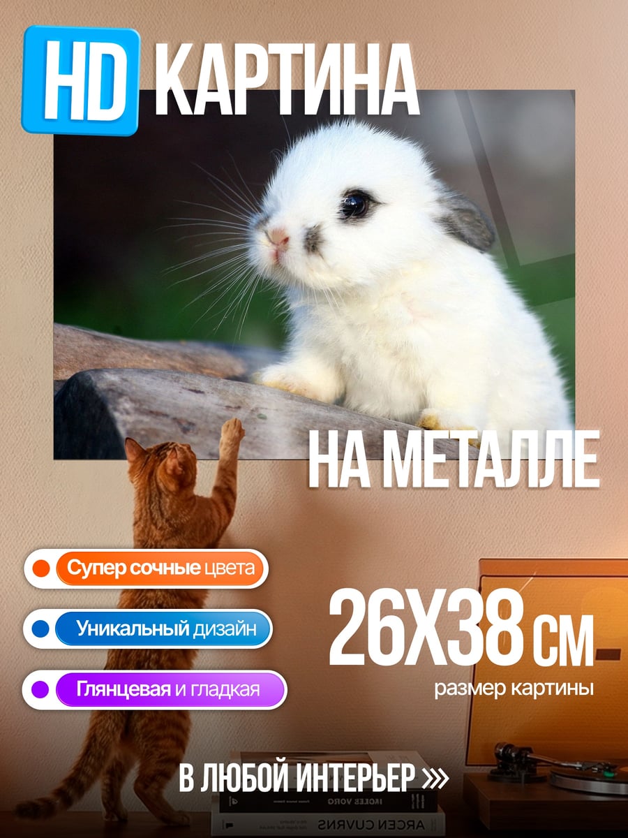 Картина на металле Белый кролик на камне