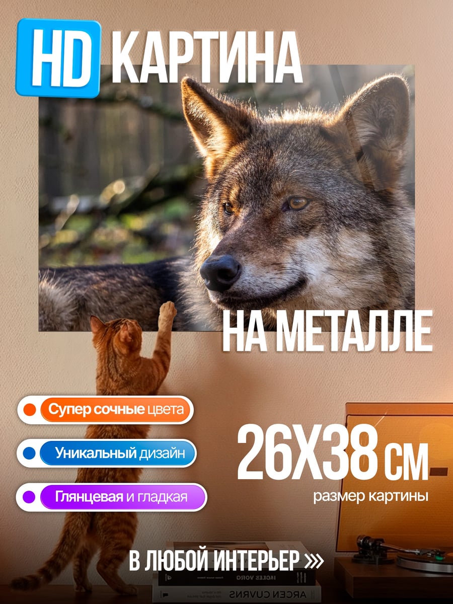 Картина на металле Портрет волка