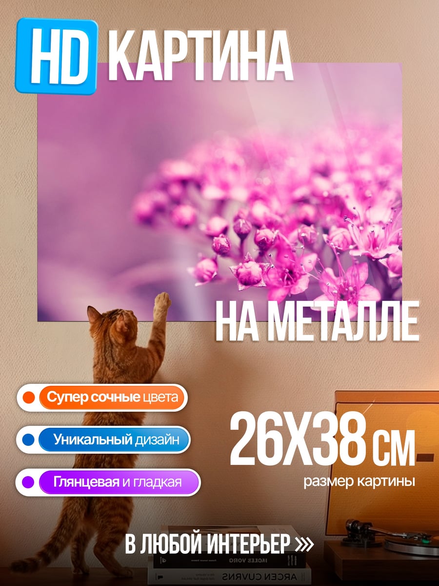 Картина на металле Розовые цветы крупным планом