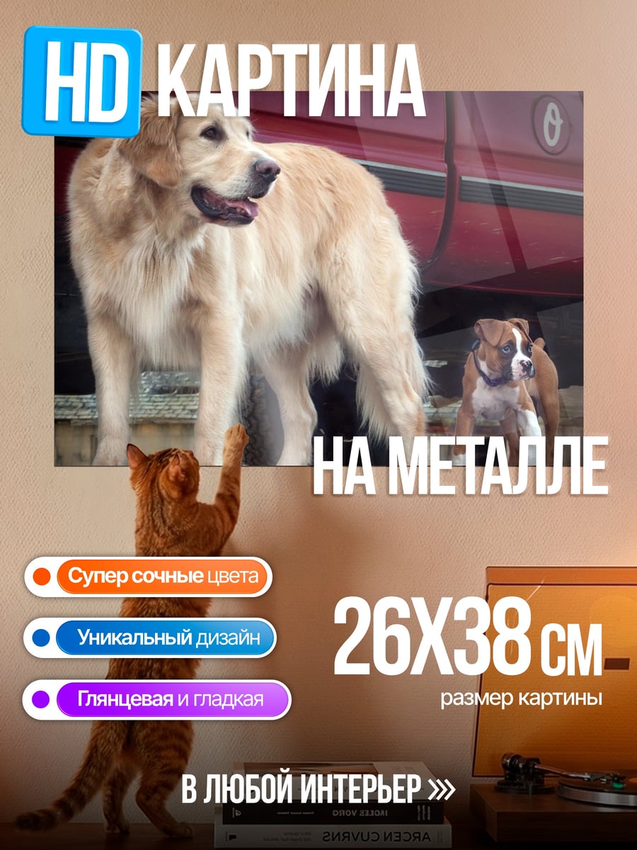 Картина на металле Золотистый ретривер и бульдог
