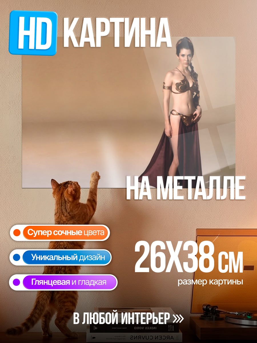 Картина на металле Принцесса Лея