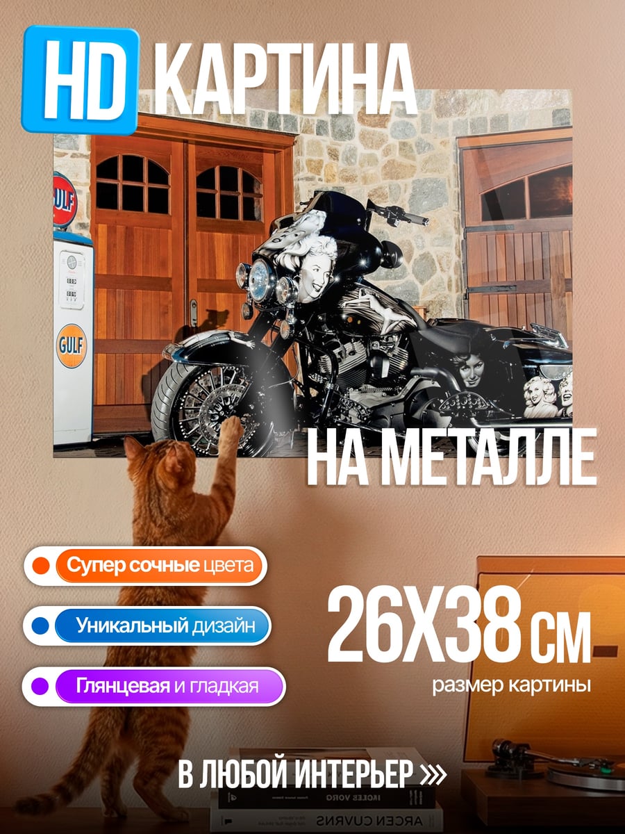 Картина на металле Чоппер байкера