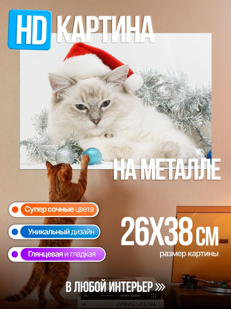 Картина на металле Кот в новогодней шапке