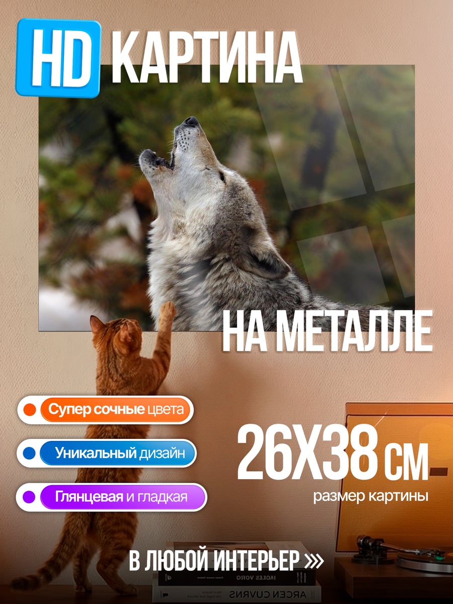 Картина на металле Воющий волк
