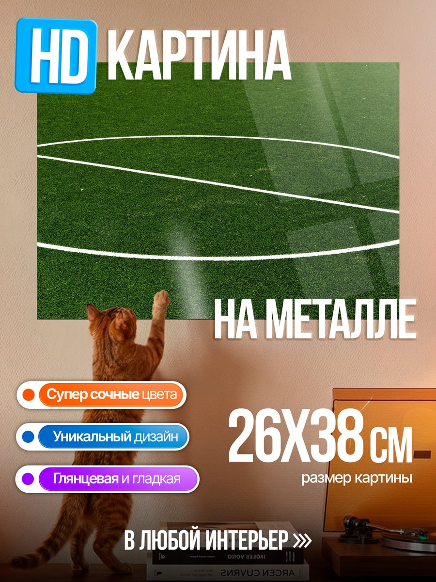 Картина на металле Футбольное поле разметка