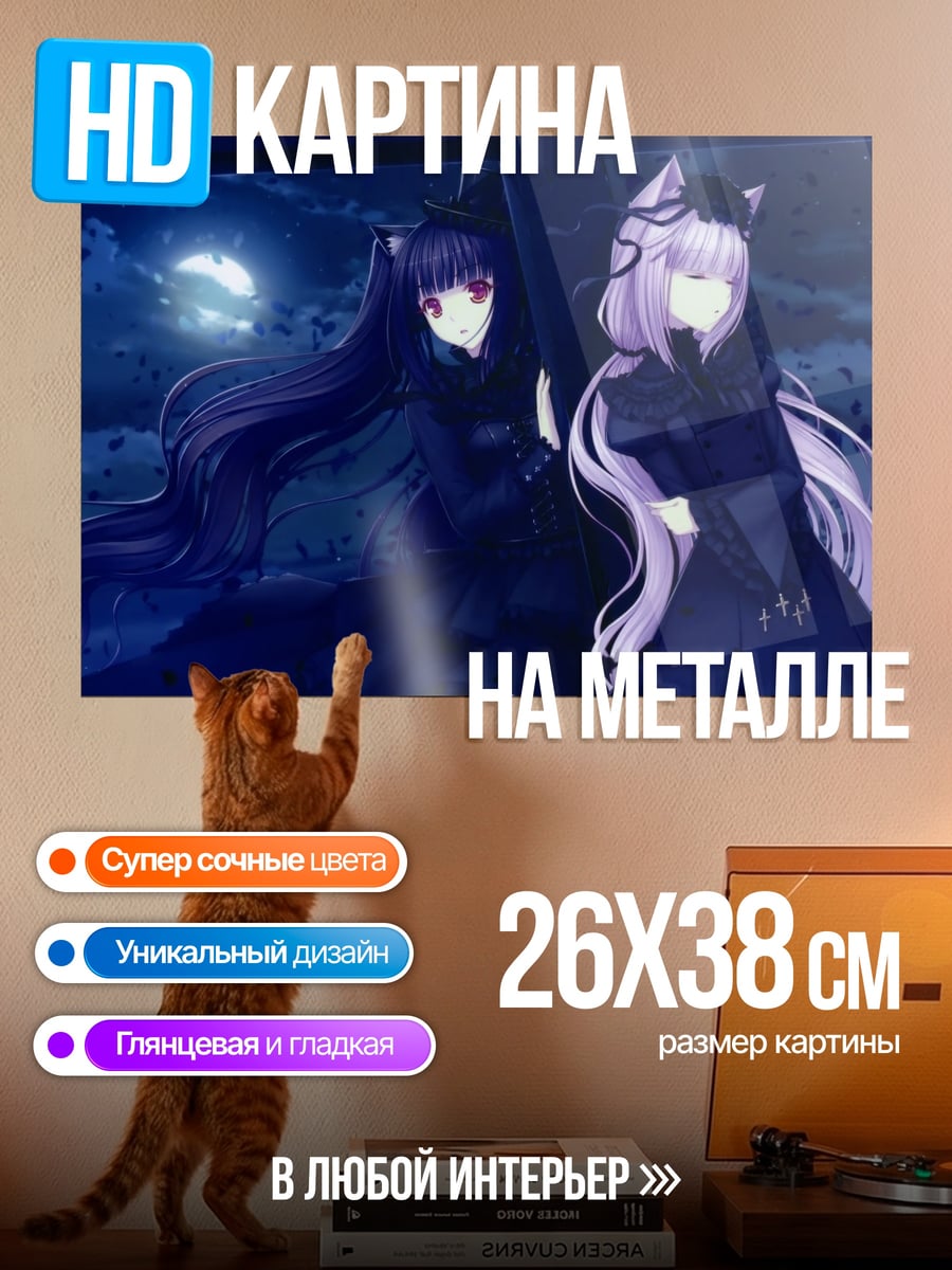 Картина на металле Две девушки в ночи