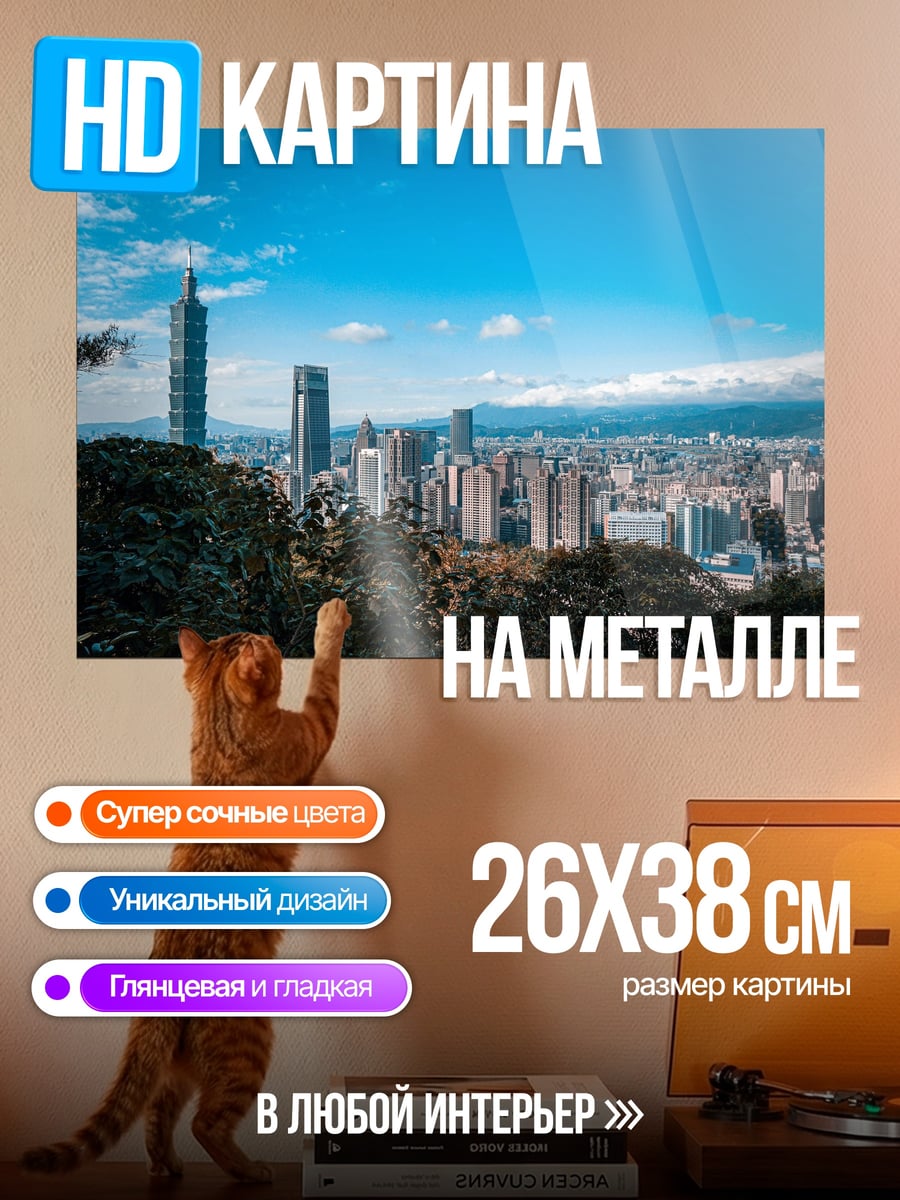 Картина на металле Городской пейзаж Тайбэя