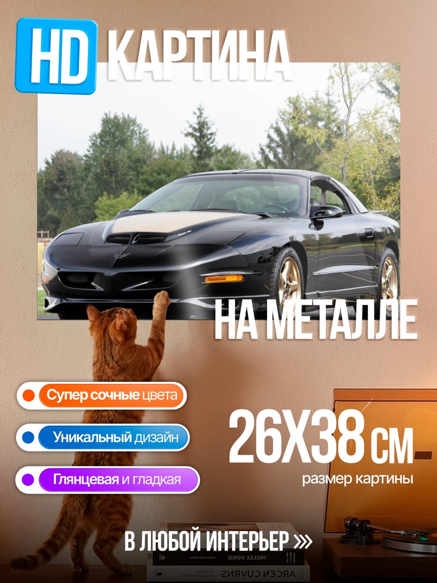 Картина на металле Черный спорткар