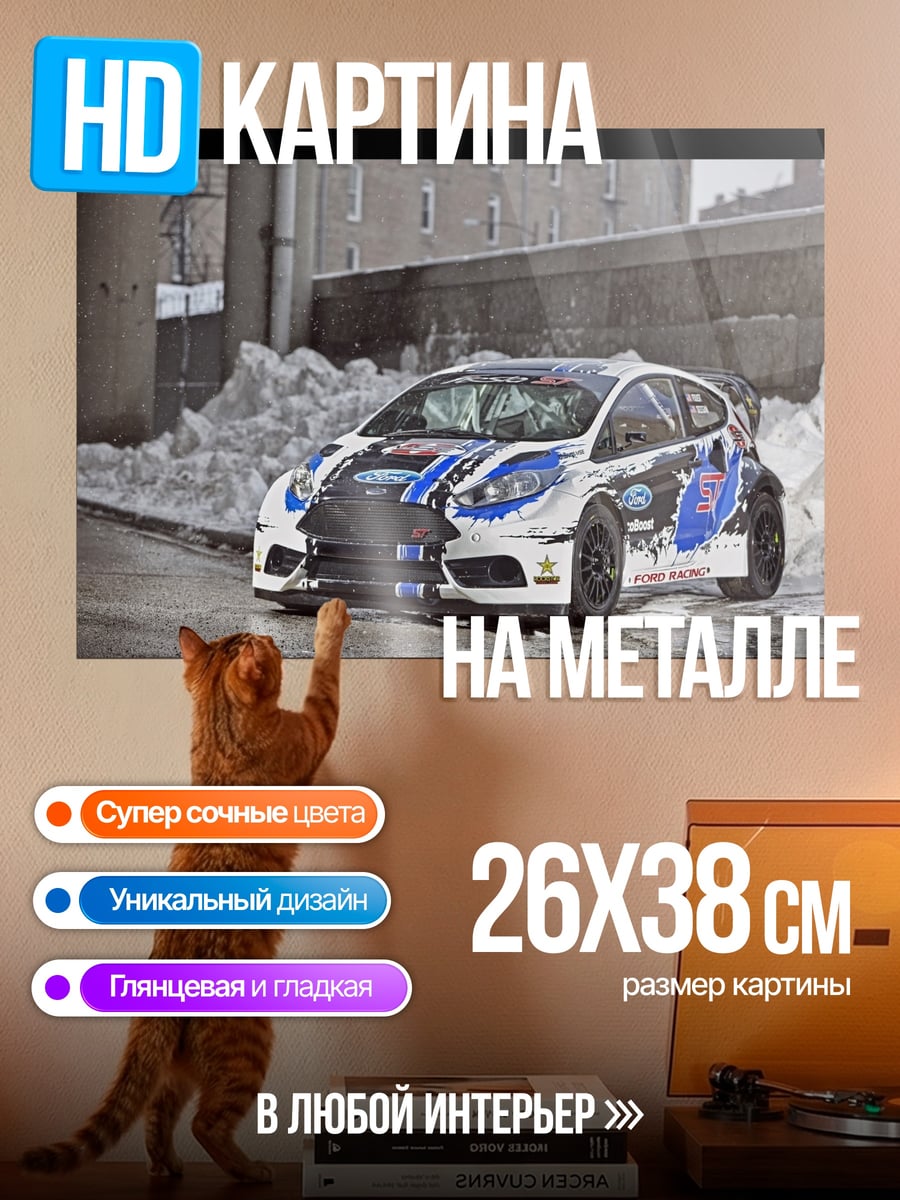 Картина на металле раллийная машина снег
