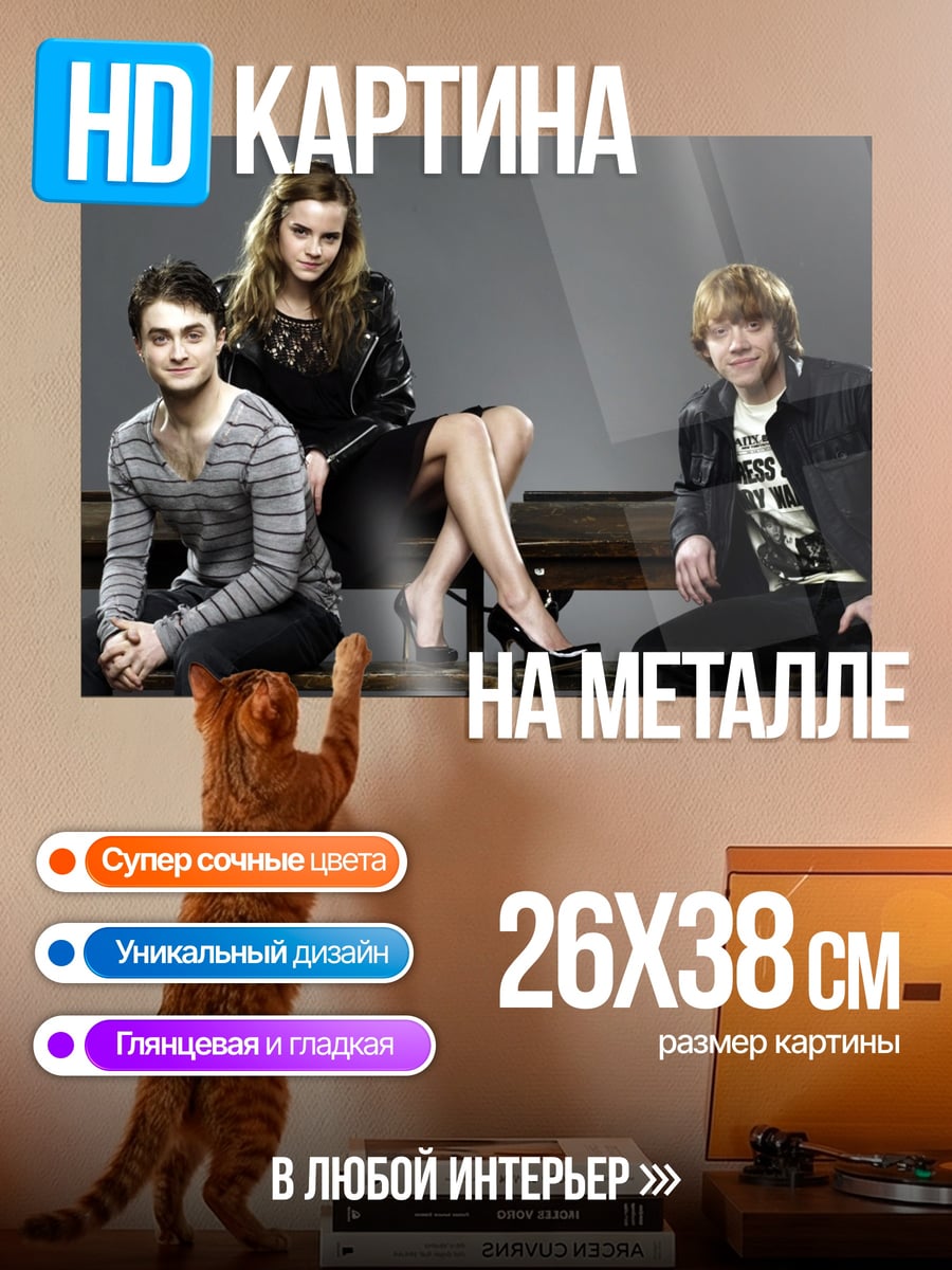 Картина на металле Гарри Поттер трио