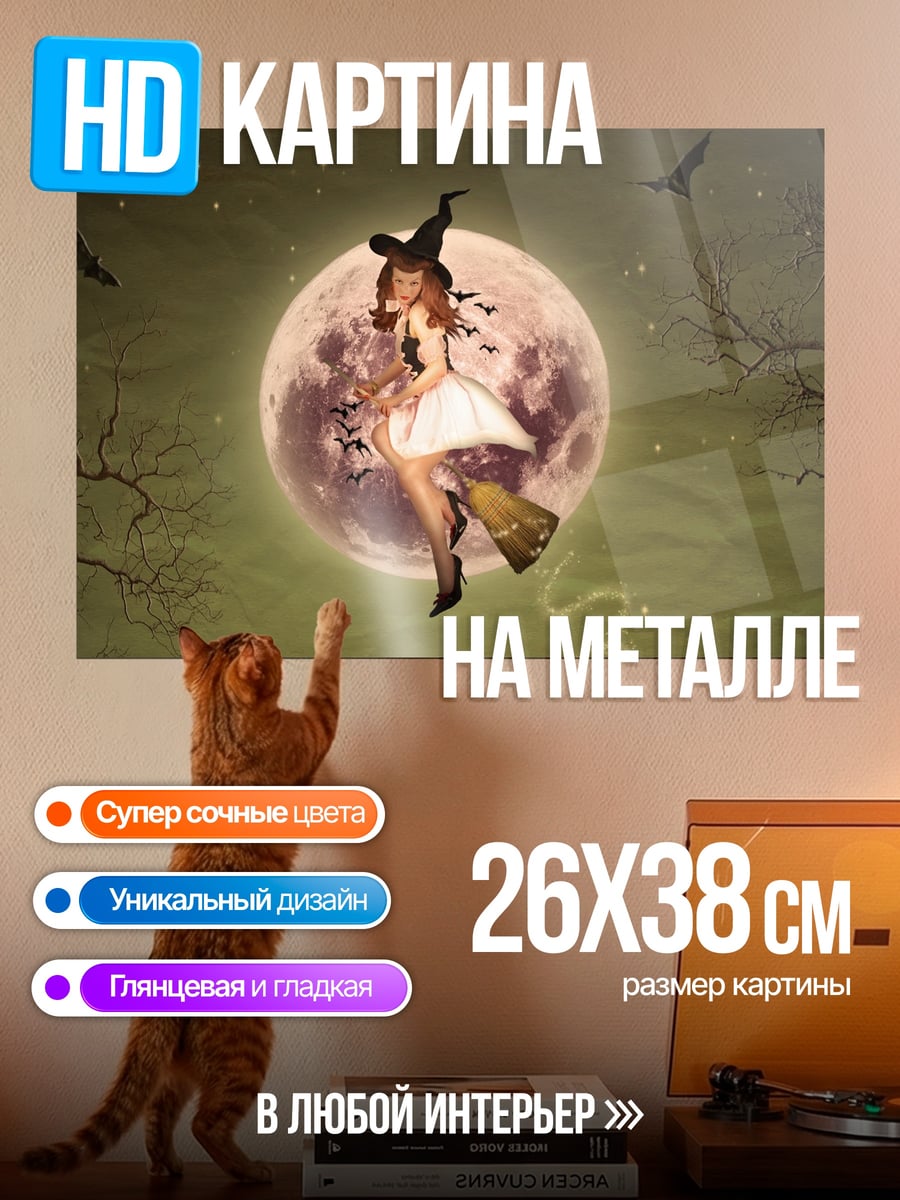 Картина на металле Ведьма на метле