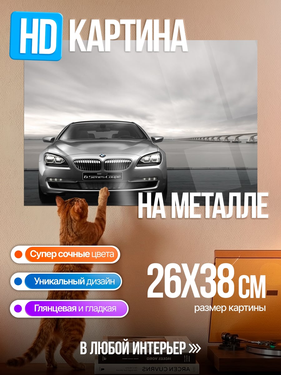 Картина на металле BMW 6 Series