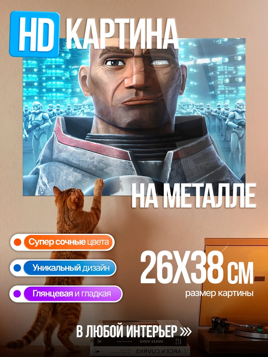 Картина на металле Командир клонов