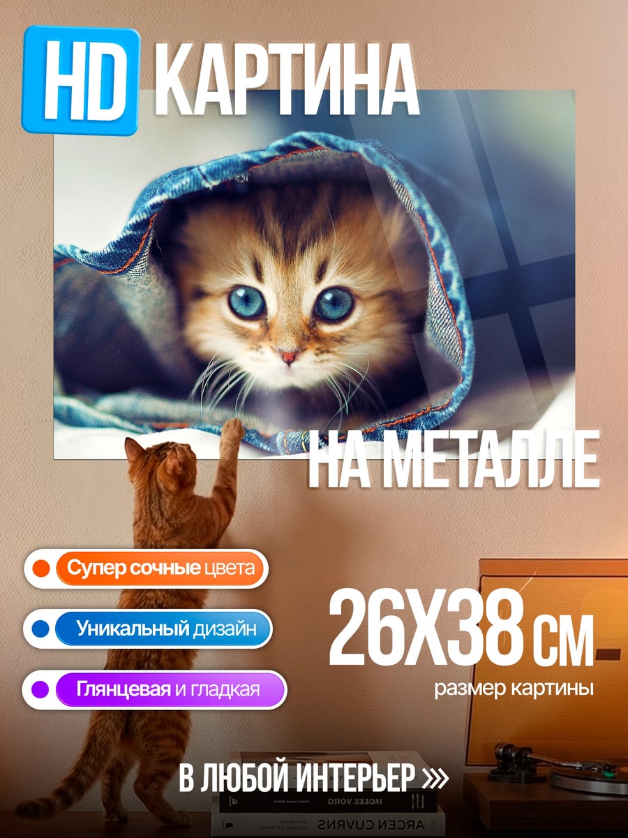 Картина на металле Котёнок в джинсах