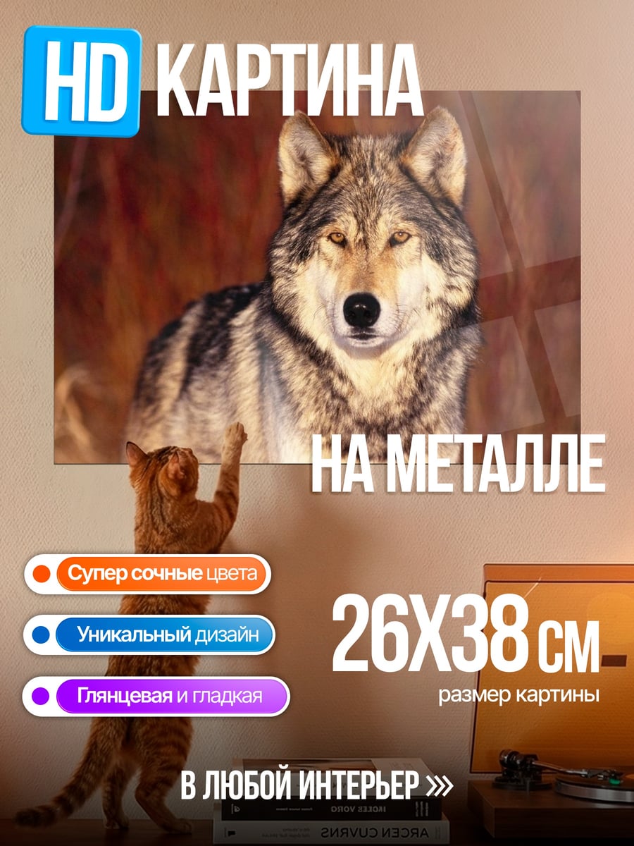 Картина на металле Портрет волка