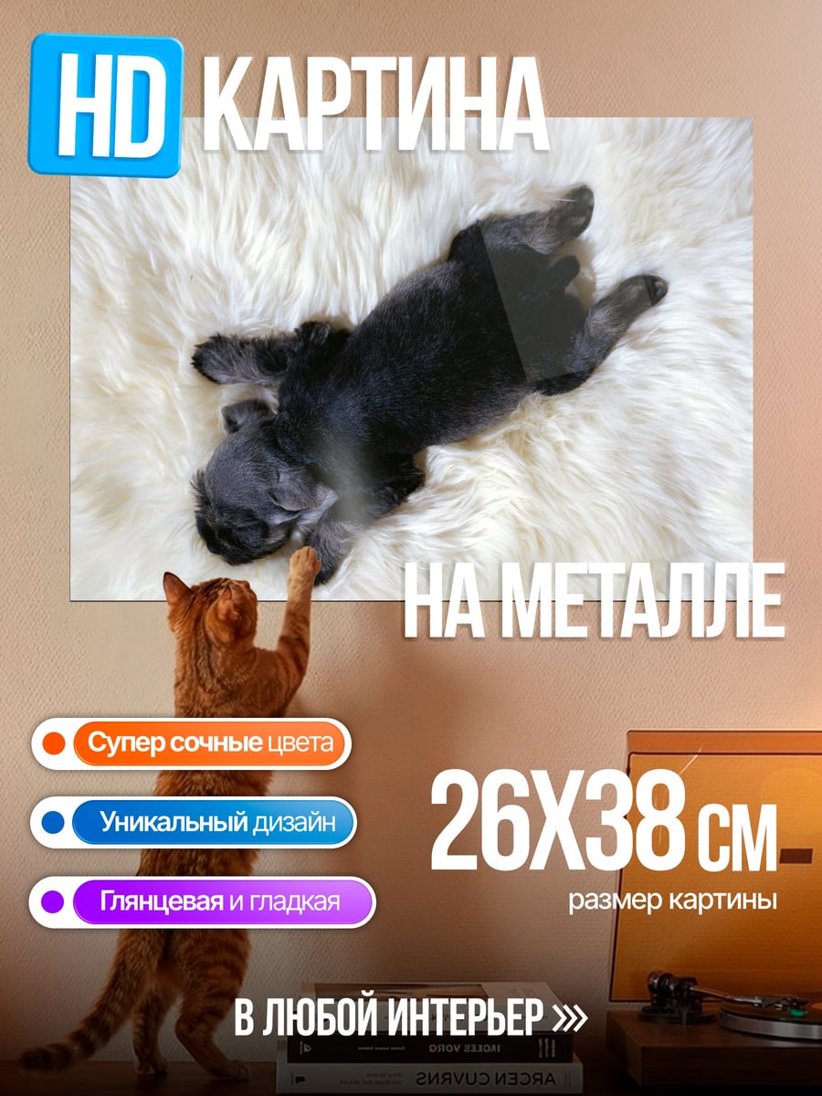 Картина на металле Спящий щенок бульдога