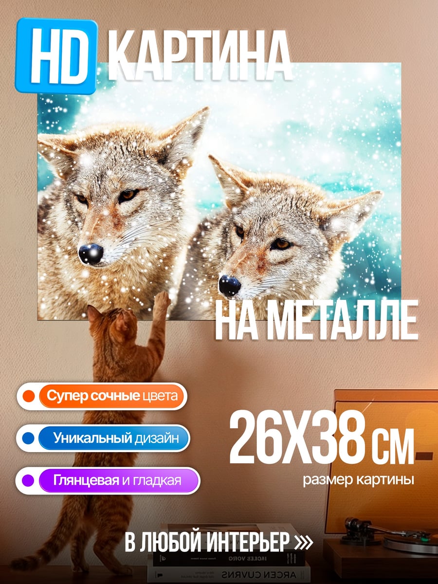 Картина на металле Два койота в снегу