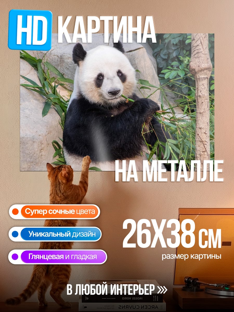 Картина на металле Панда ест бамбук