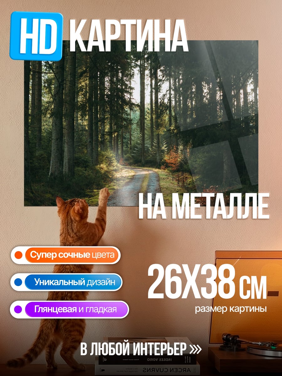 Картина на металле Лесная дорога
