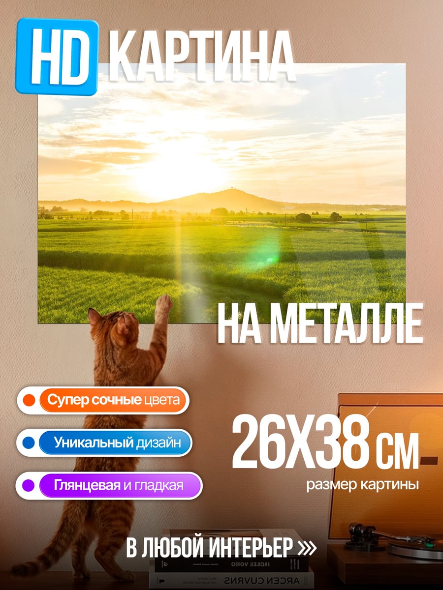 Картина на металле Поле и закат