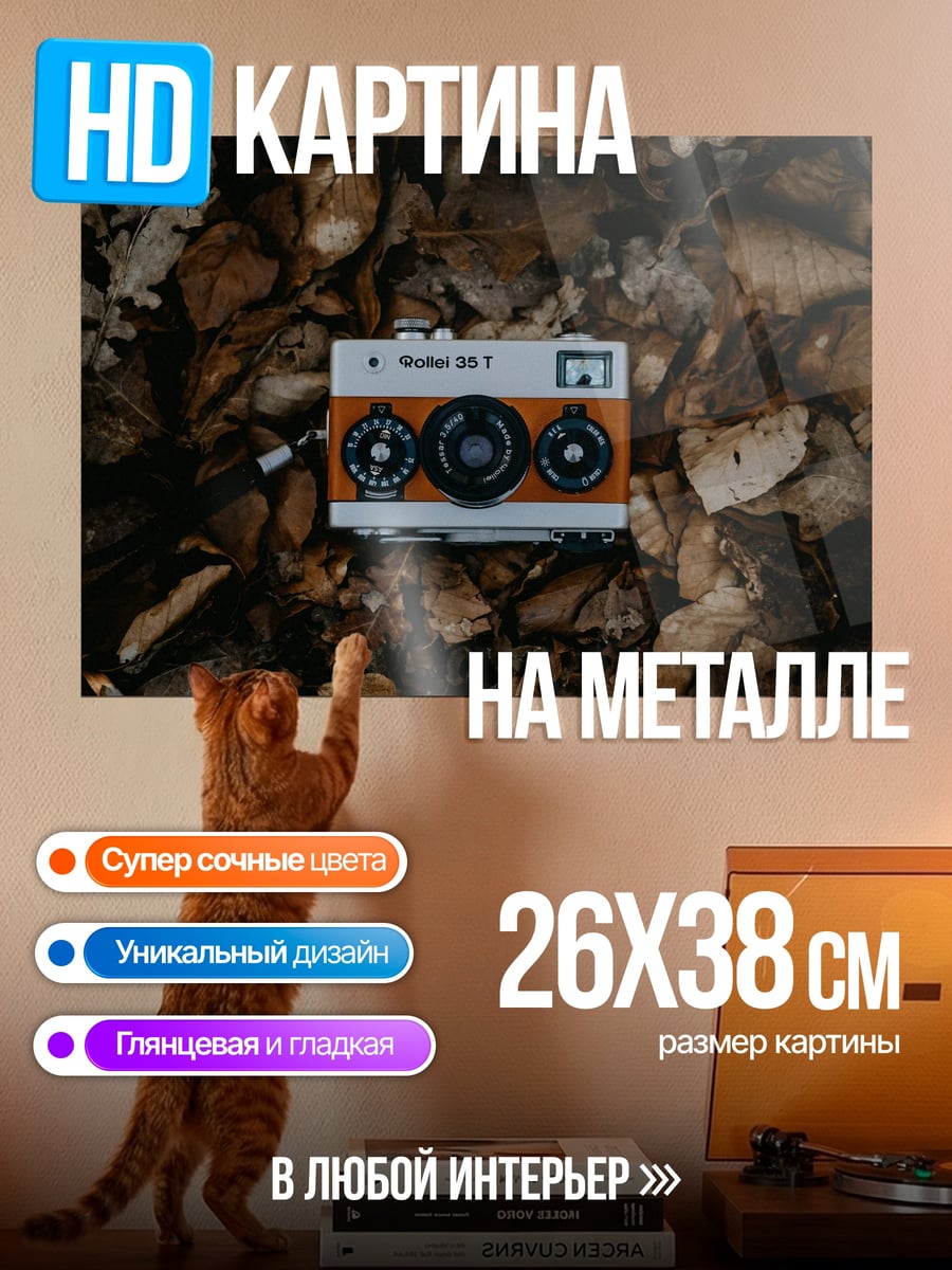 Картина на металле Ретро камера