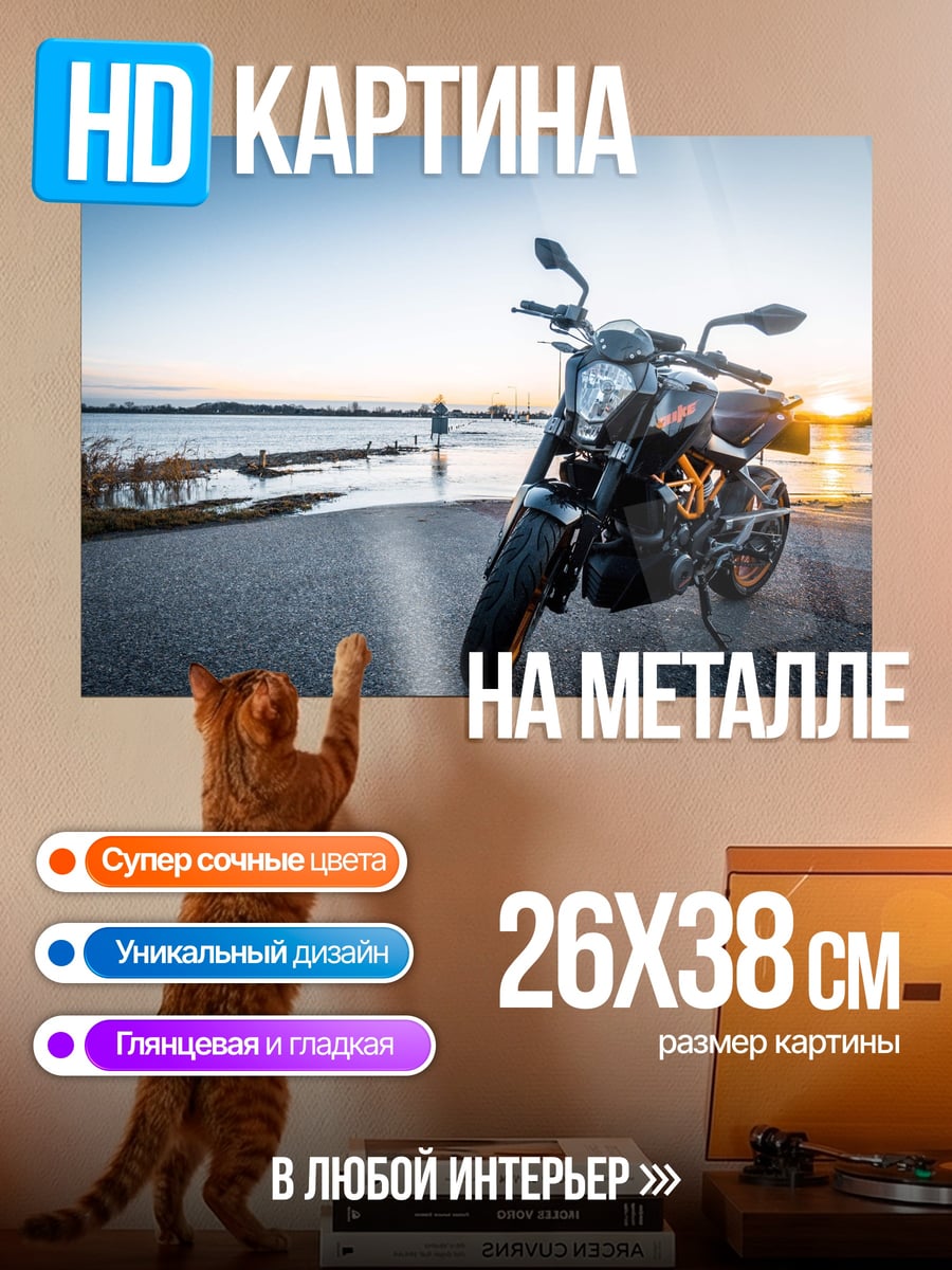 Картина на металле мотоцикл на закате