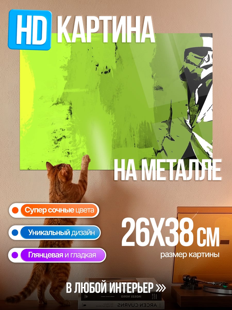 Картина на металле штурмовик в костюме