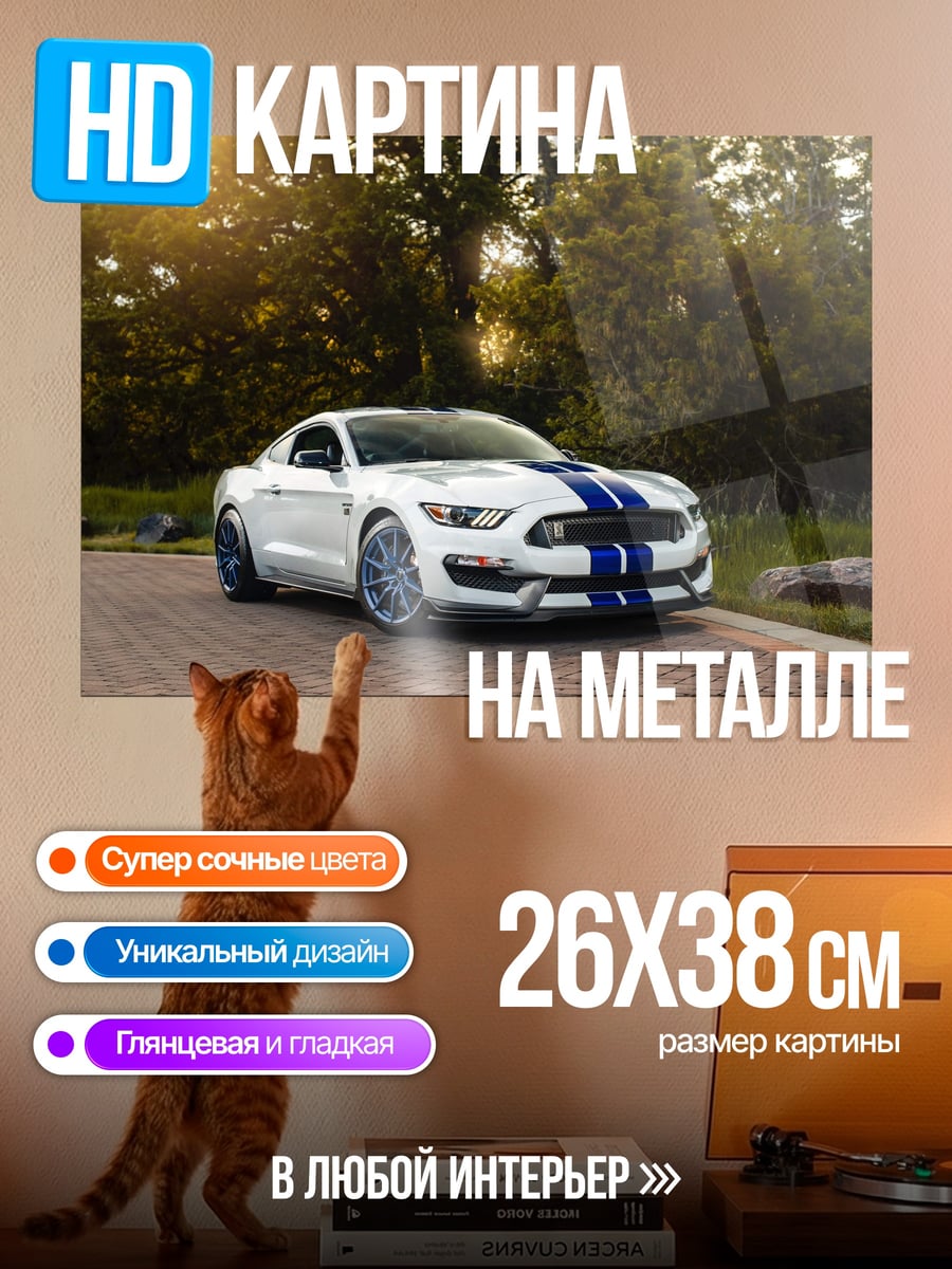 Картина на металле белый маслкар с полосами