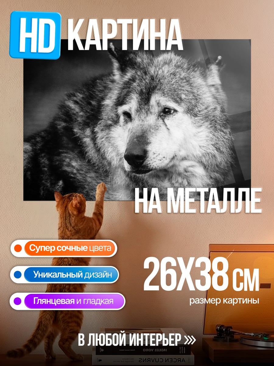 Картина на металле Портрет волка