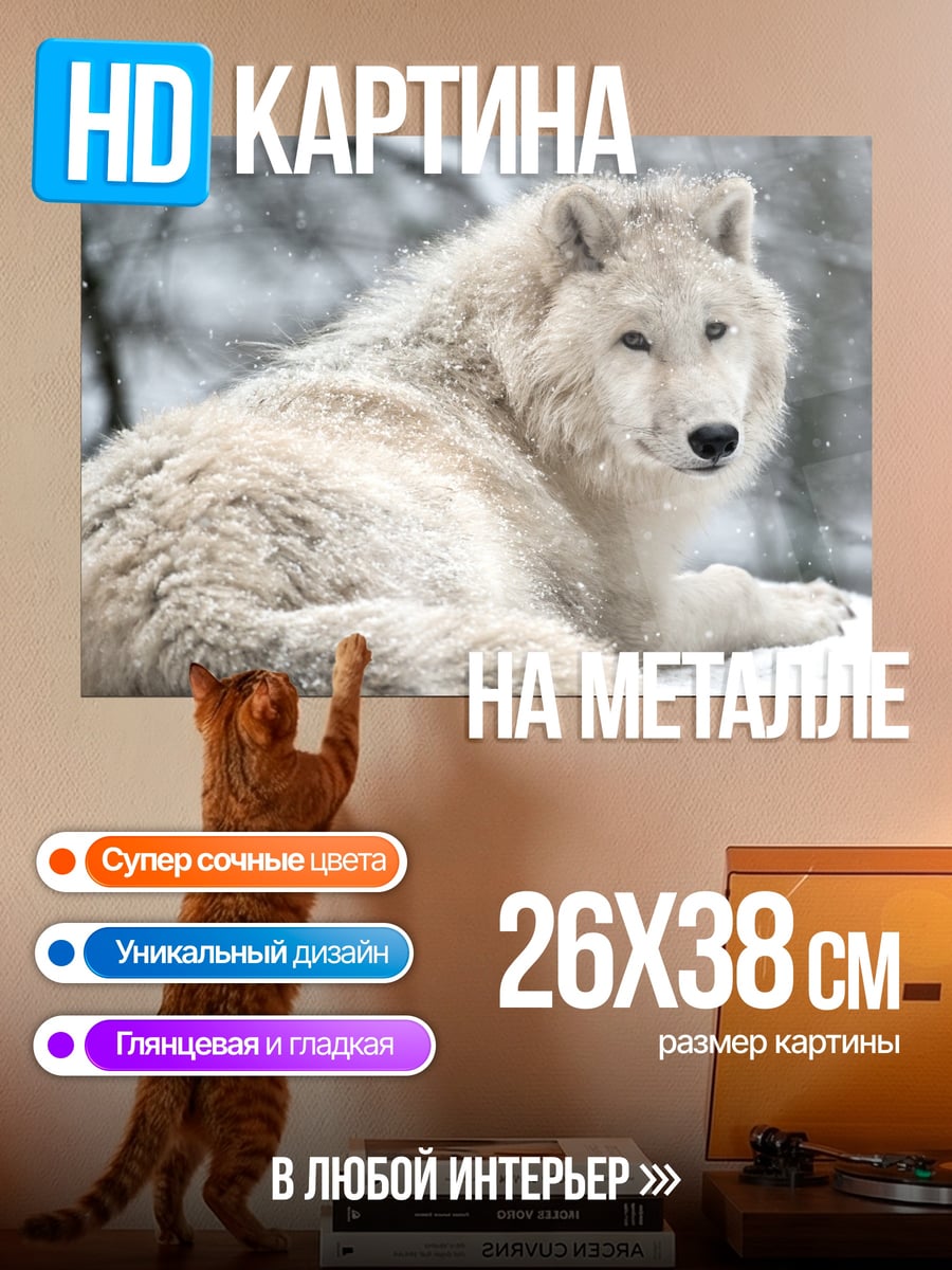 Картина на металле Белый волк снег