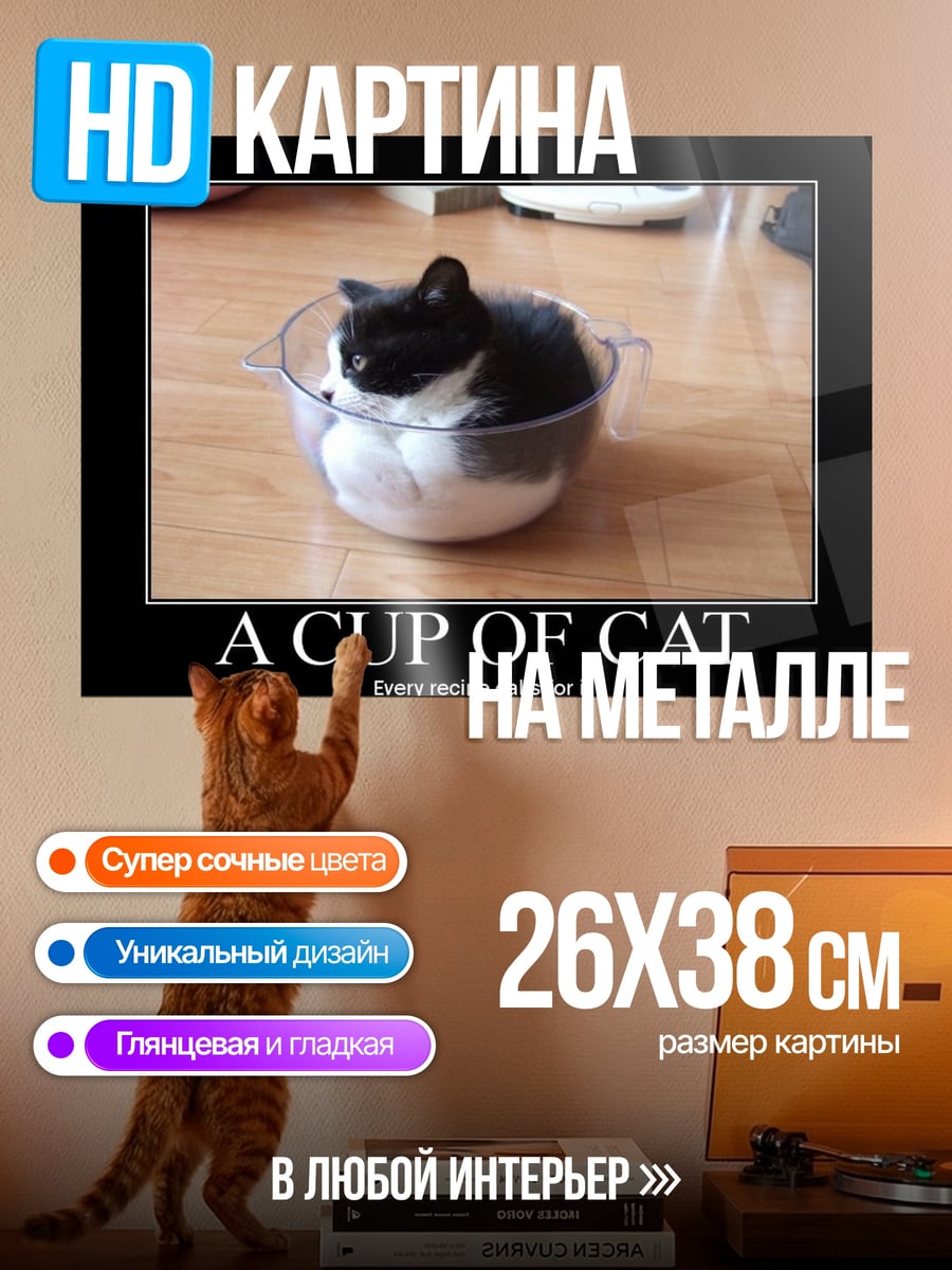 Картина на металле Кот в чашке