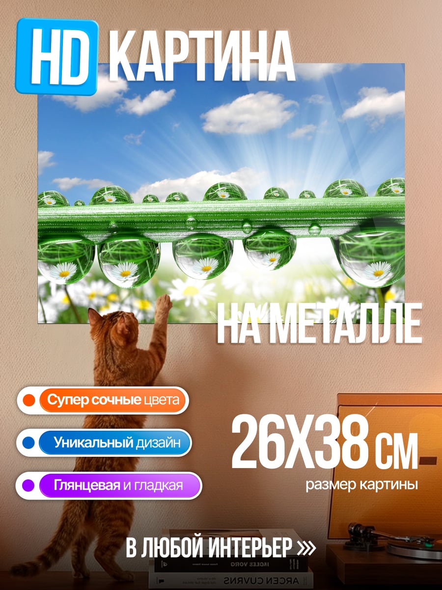 Картина на металле Капли на траве